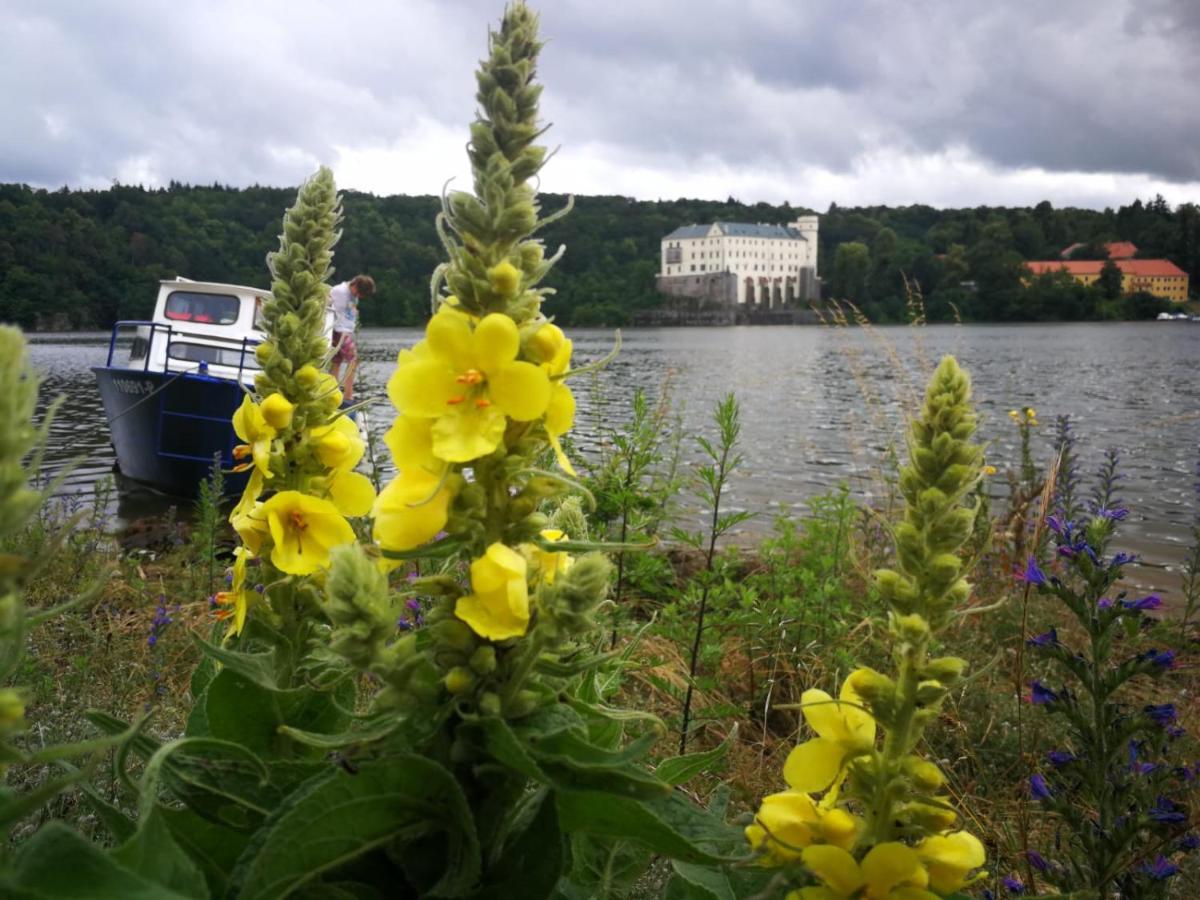 Podkrovi V Jihoceskem Statku Nemejice Exterior foto